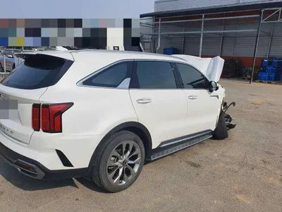 2020 Kia Sorento KNARK81BGMA038540 VIN:KNARK81BGMA038540