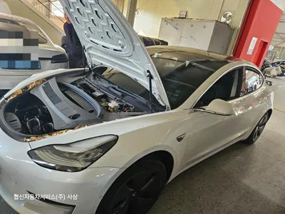 2020 Tesla Model 3 5YJ3E1EA0LF694507 VIN:5YJ3E1EA0LF694507