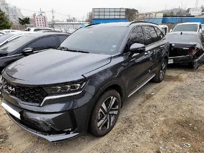 2022 Kia Sorento KNARH81GBNA101047 VIN:KNARH81GBNA101047