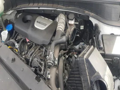 2020 Hyundai Tucson KMHJ3812GLU219046 VIN:KMHJ3812GLU219046