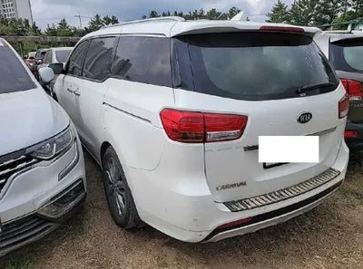 2018 Kia Carnival KNAMC81ABJS411166 VIN:KNAMC81ABJS411166