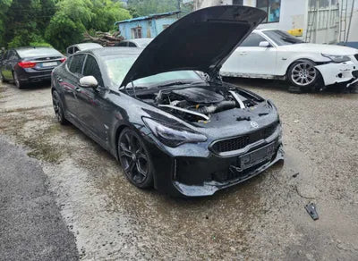 2018 Kia Stinger KNAE351BDJS001668 VIN:KNAE351BDJS001668
