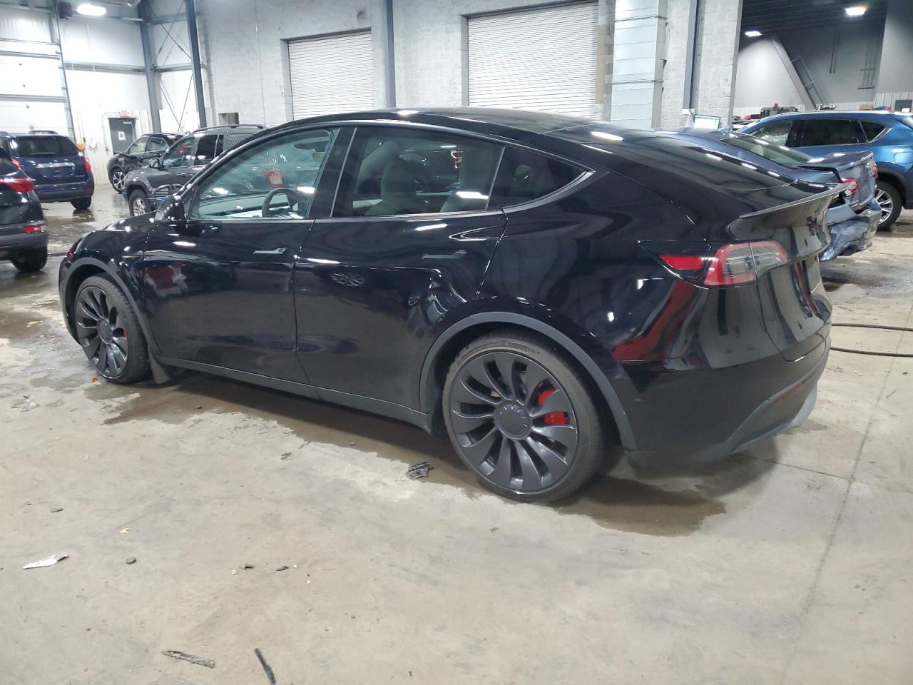 2023 TESLA MODEL Y  VIN:7SAYGDEFXPF907419
