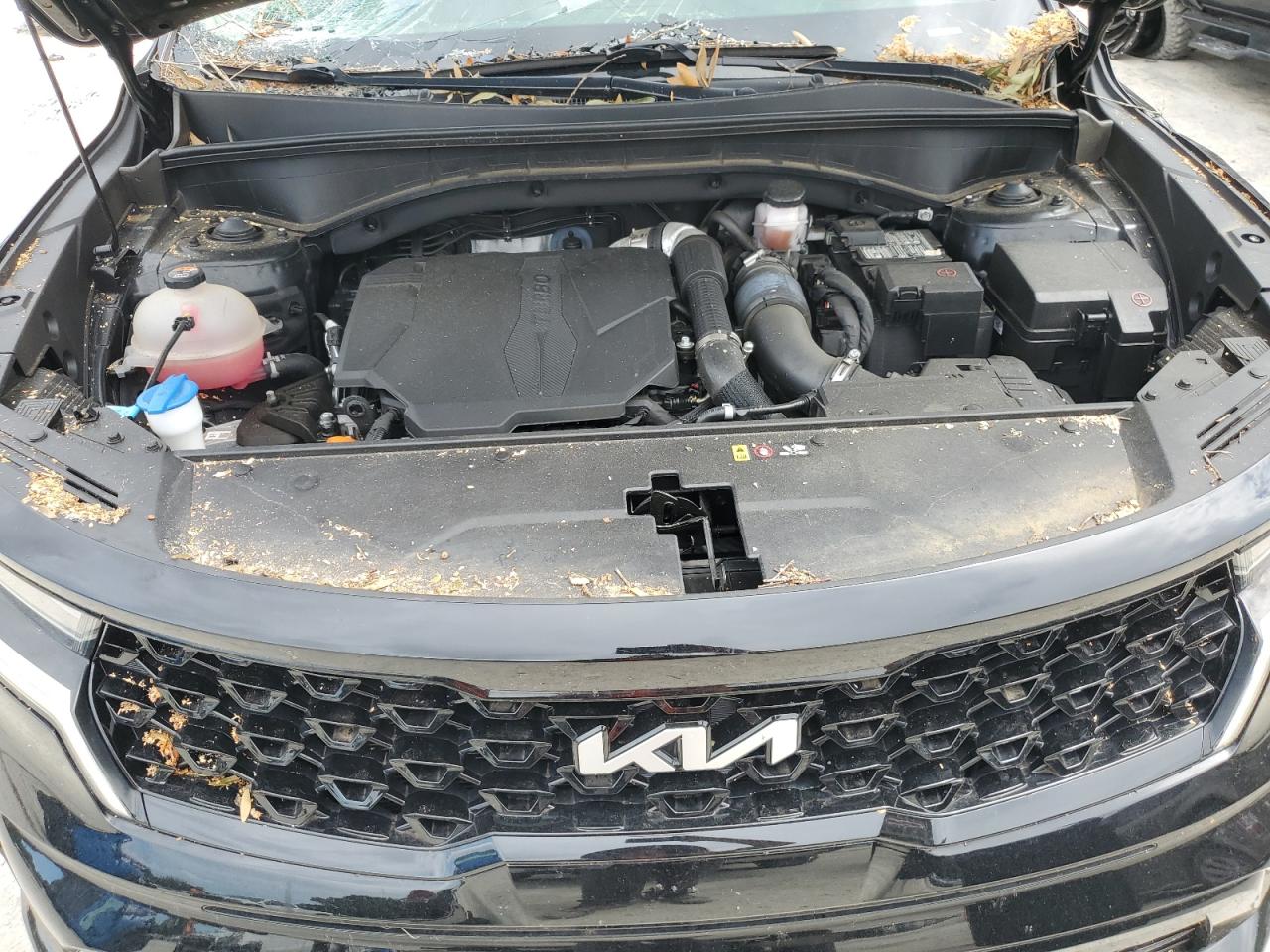 2022 KIA SORENTO SX VIN:5XYRKDLFXNG079865