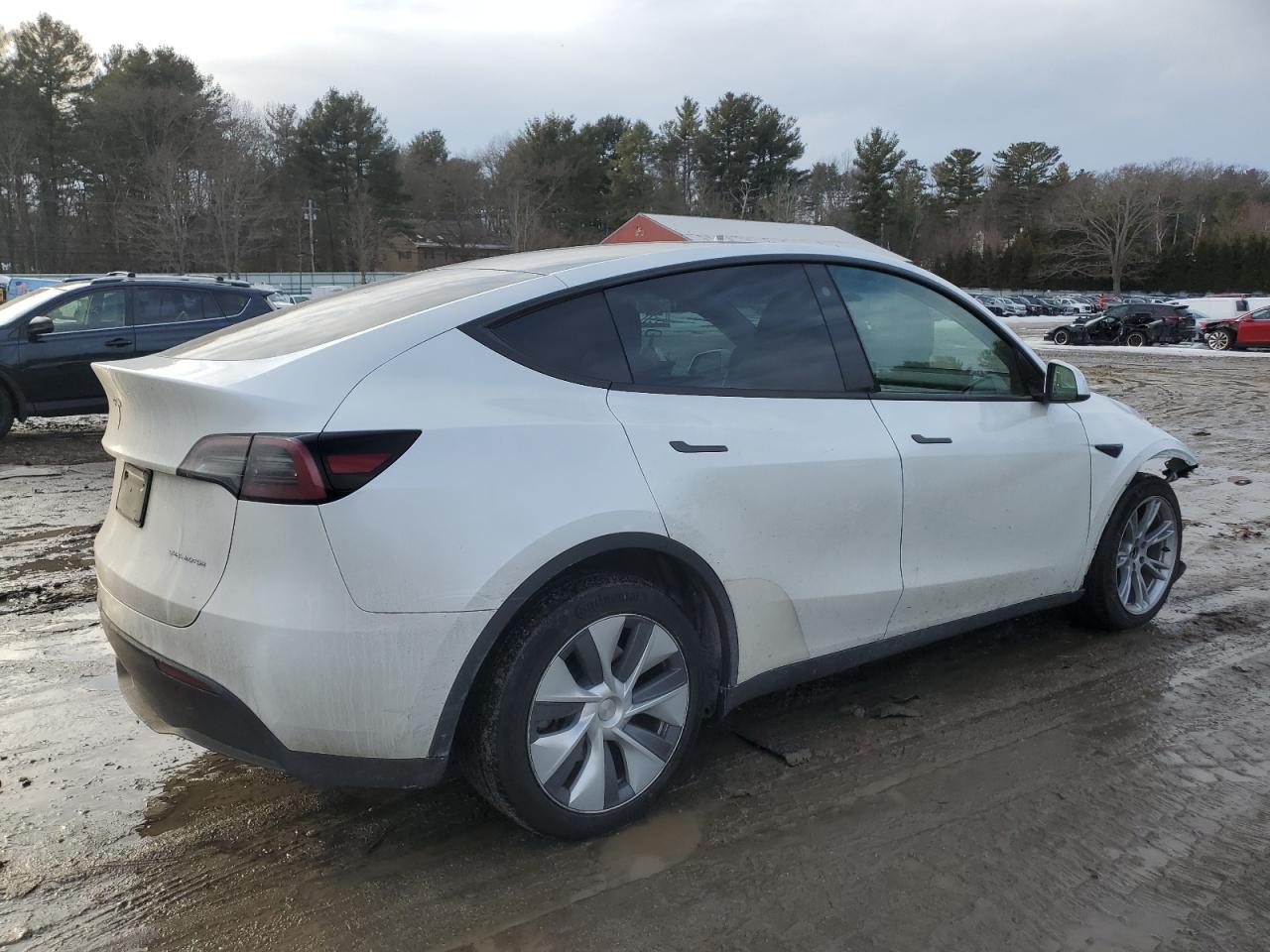 2023 TESLA MODEL Y  VIN:7SAYGDEE0PA116790