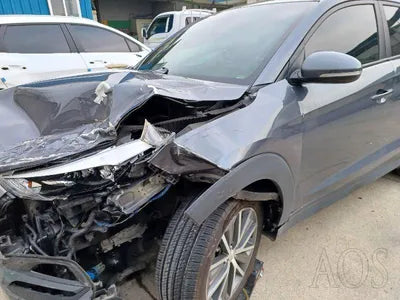 2016 Hyundai Tucson KMHJ381ABGU013916 VIN:KMHJ381ABGU013916