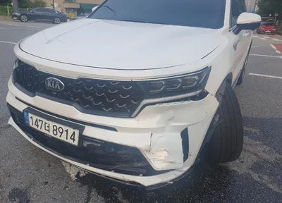2021 Kia Sorento KNARF81BHMA034257 VIN:KNARF81BHMA034257