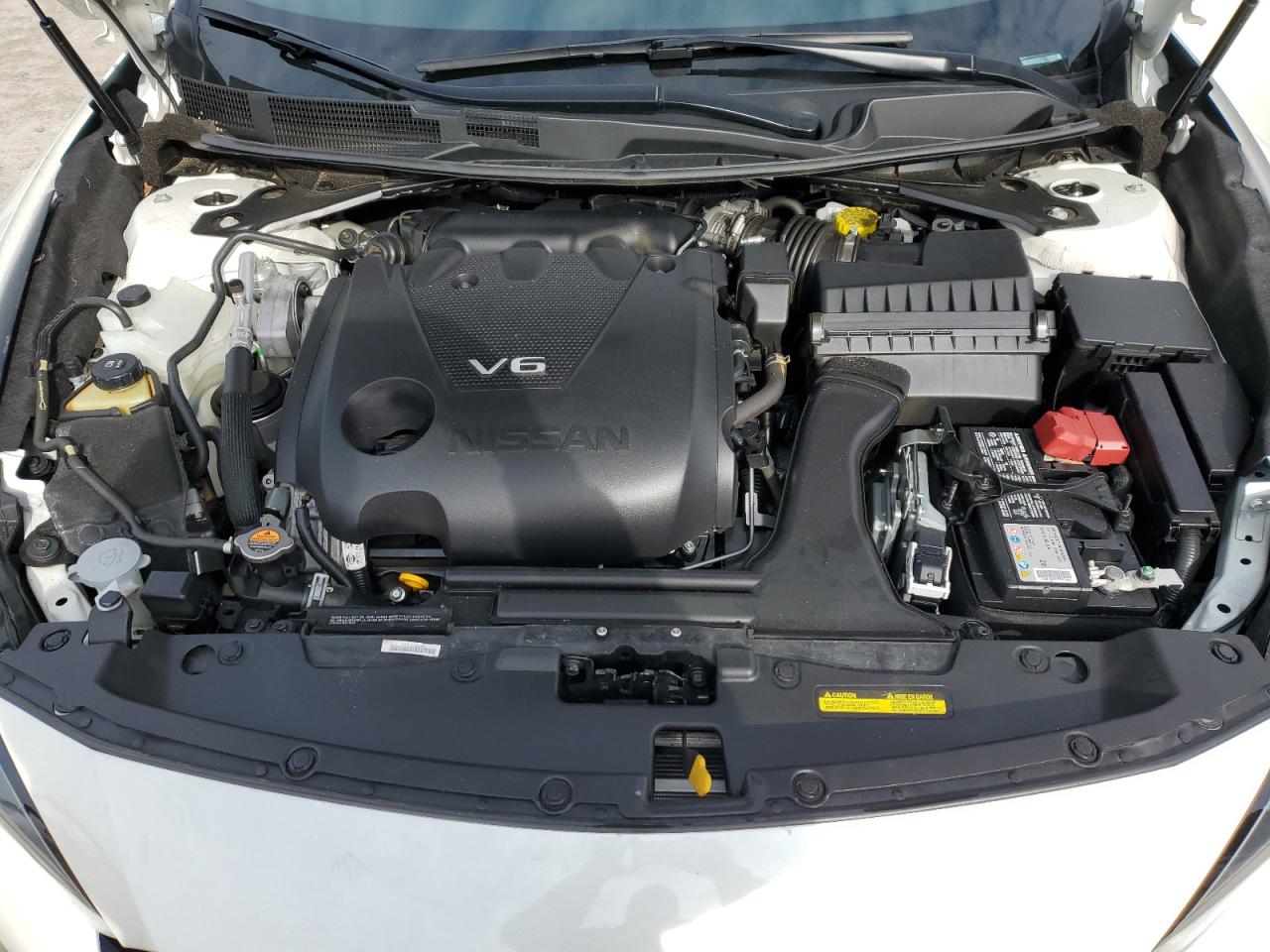 2023 NISSAN MAXIMA PLATINUM VIN:1N4AA6FV1PC507737