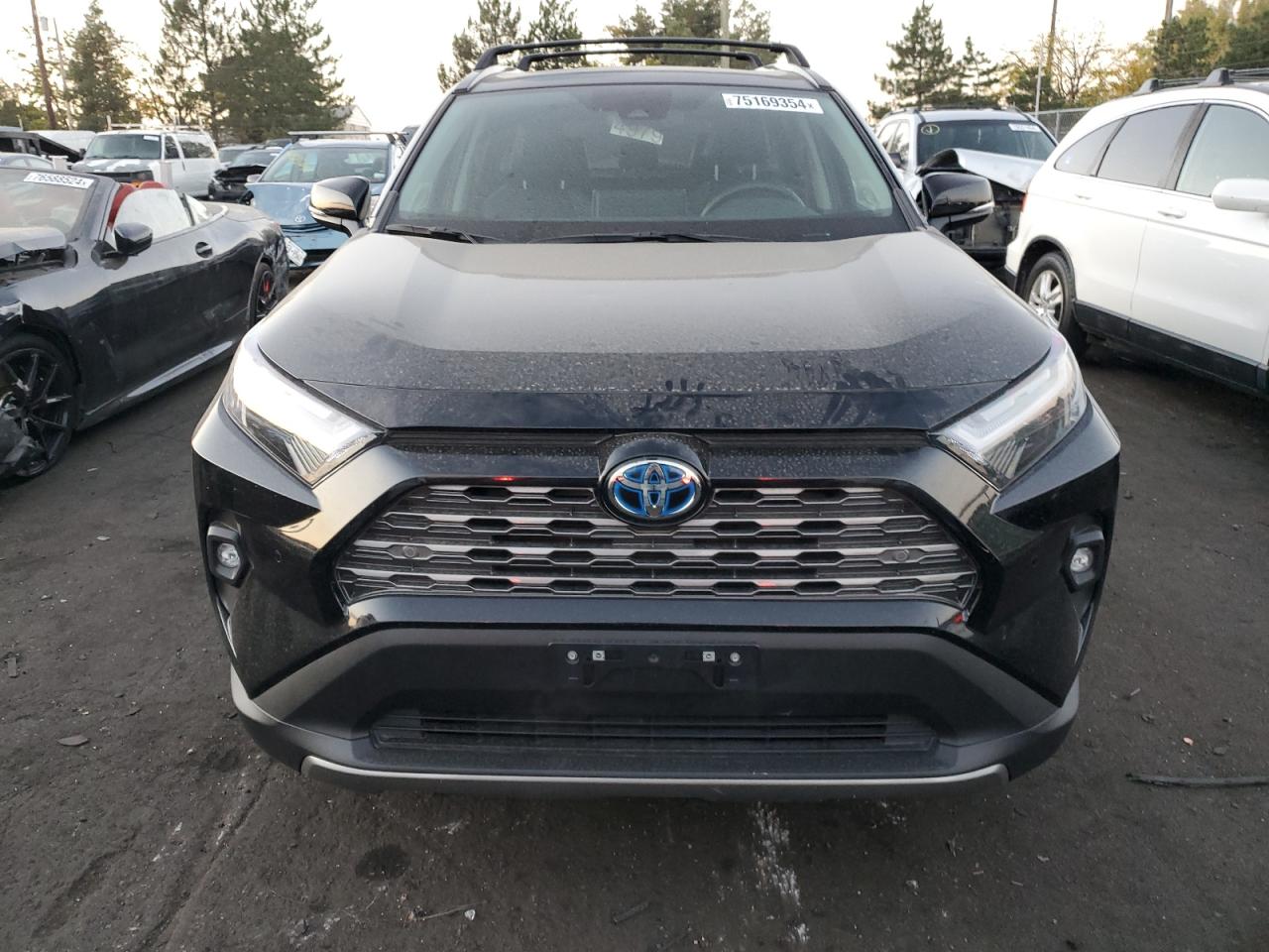 2022 TOYOTA RAV4 LIMITED VIN:4T3D6RFV8NU094025