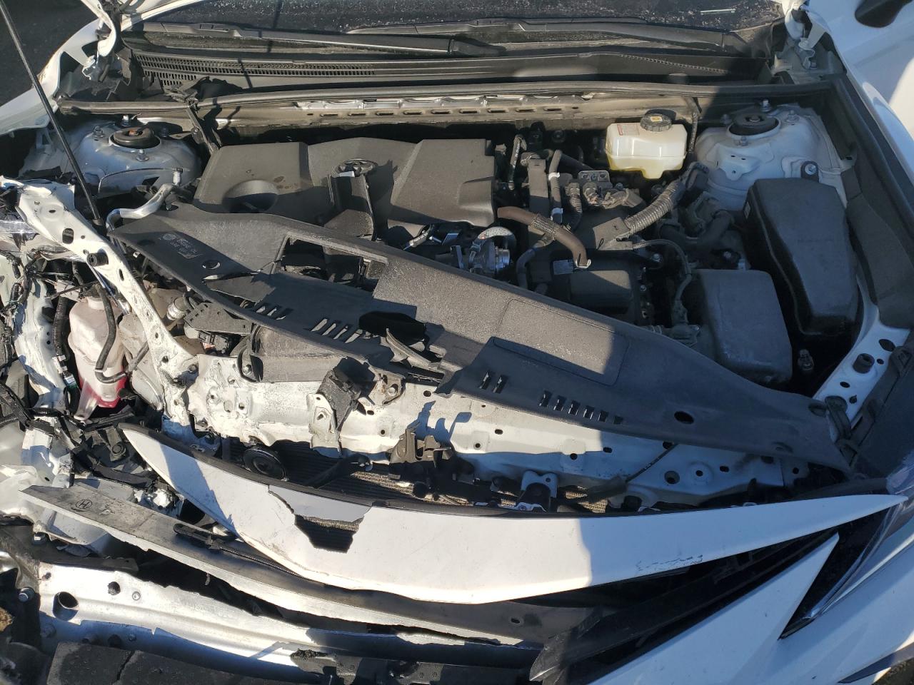 2023 TOYOTA CAMRY LE VIN:4T1C31AK0PU049501