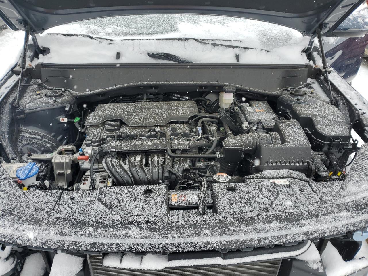 2024 HYUNDAI KONA SEL VIN:1N4AL3AP0FN339562