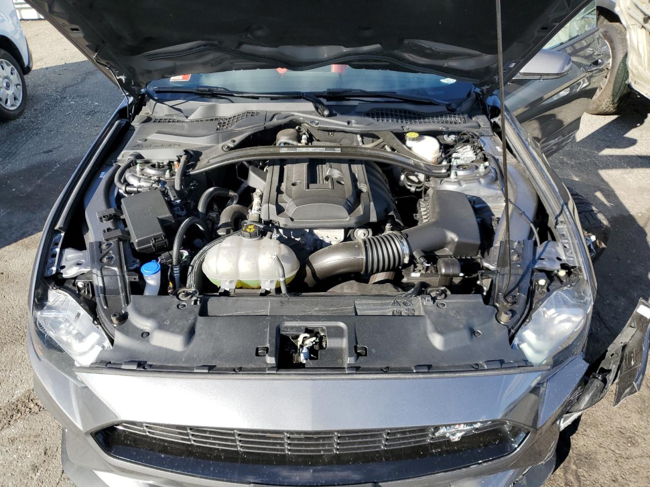 2022 FORD MUSTANG  VIN:1FA6P8TD9N5109804