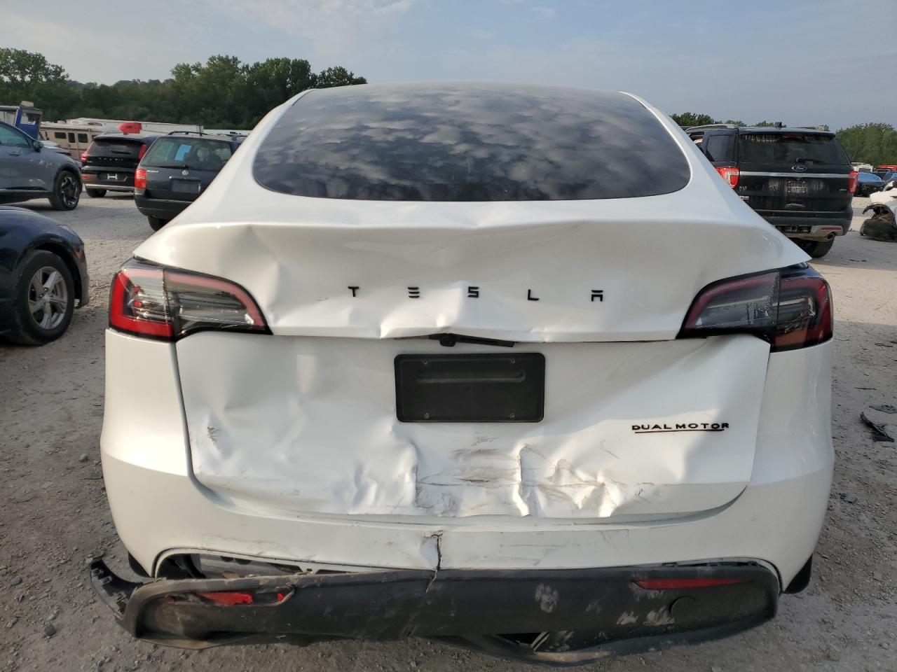 2023 TESLA MODEL Y  VIN:7SAYGDEE4PF810174