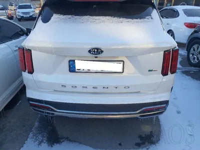 2020 Kia Sorento KNARK81GBMA006789 VIN:KNARK81GBMA006789