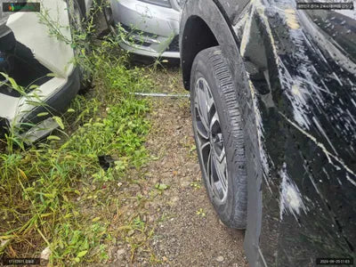 2019 Hyundai Santa FE KMHS381BBKU142921 VIN:KMHS381BBKU142921