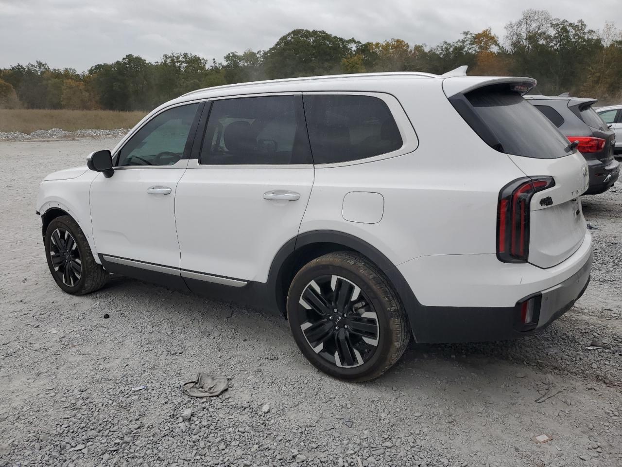 2024 KIA TELLURIDE SX VIN:5XYP5DGC0RG426592