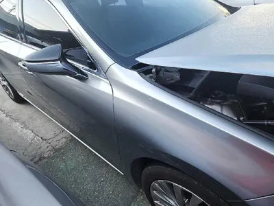 2019 Lexus ES 300 VIN: