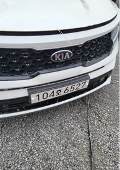 2021 Kia Sorento KNARF81BGMA032102 VIN:KNARF81BGMA032102