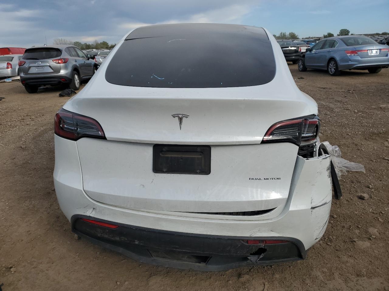 2023 TESLA MODEL Y  VIN:7SAYGDEE5PF623865