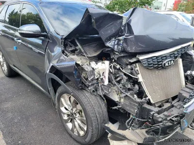 2019 Kia Sorento KNAPS81ABKA514794 VIN:KNAPS81ABKA514794