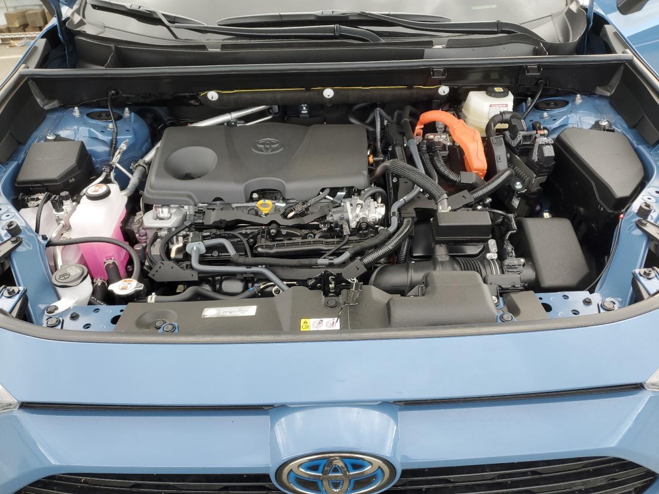 2024 TOYOTA RAV4 XSE VIN:JTME6RFV7RJ060716