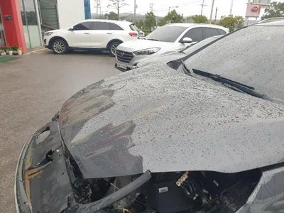 2020 Kia Sorento KNAPS811DLA616574 VIN:KNAPS811DLA616574