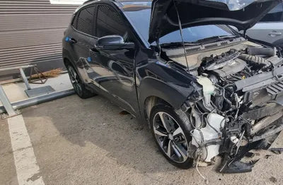 2018 Hyundai Kona KMHK4815GJU108517 VIN:KMHK4815GJU108517