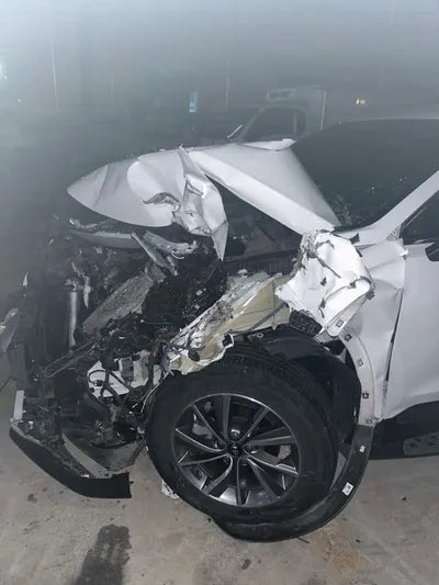 2019 Hyundai Santa FE KMHS281BBLU228038 VIN:KMHS281BBLU228038