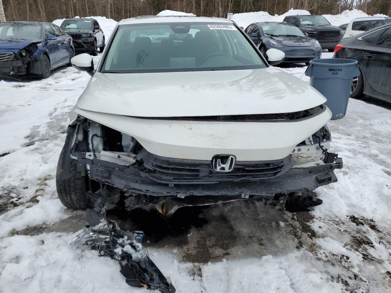 2024 HONDA CIVIC EX VIN:2HGFE2F37RH113172