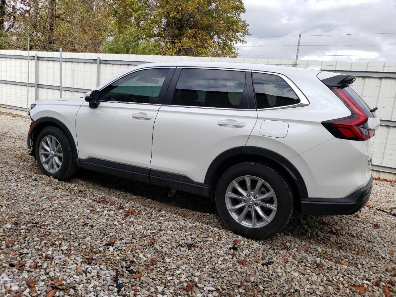 2024 HONDA CR-V EXL VIN:7FARS4H71RE019377