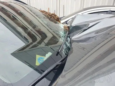 2022 Hyundai Tucson KMHJE811BPU080400 VIN:KMHJE811BPU080400