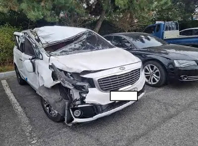 2018 Kia Carnival KNAMB81ABJS417601 VIN:KNAMB81ABJS417601