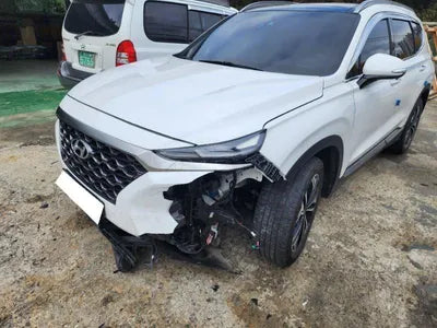 2019 Hyundai Santa FE KMHS381BBKU168509 VIN:KMHS381BBKU168509