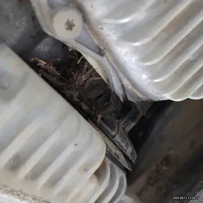 2021 BMW X4 M NONE VIN: