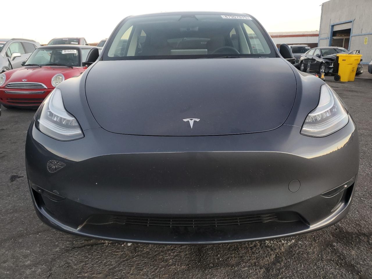 2023 TESLA MODEL Y  VIN:7SAYGDEE8PA109344