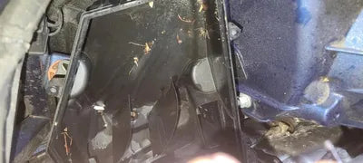 2020 BMW X5 M WBACV0104L9C83970 VIN:WBACV0104L9C83970