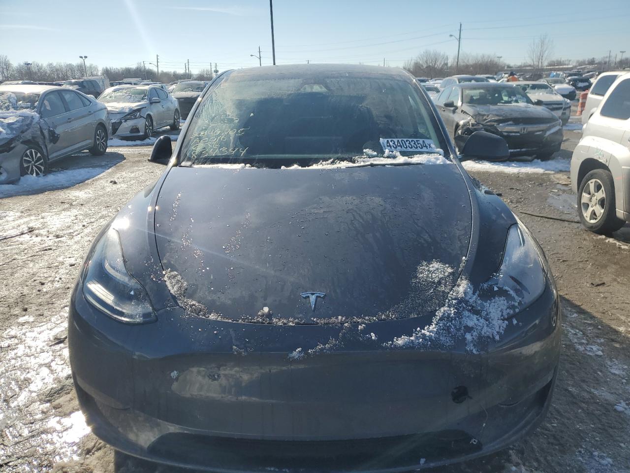 2023 TESLA MODEL Y  VIN:7SAYGDEE2PF834344