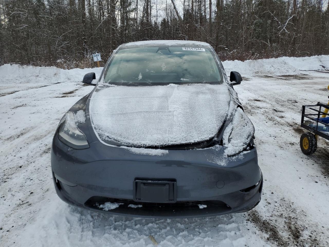 2023 TESLA MODEL Y  VIN:7SAYGDEE0PF597059