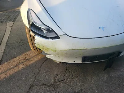 2021 Tesla Model 3 5YJ3E1EB5MF946651 VIN:5YJ3E1EB5MF946651