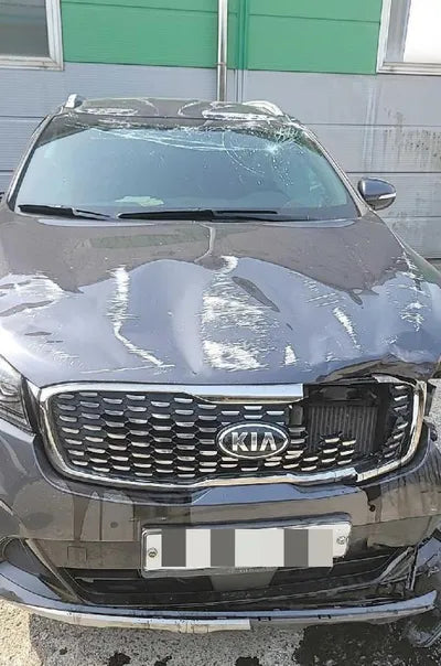 2018 Kia Sorento KNAPS81ABKA479906 VIN:KNAPS81ABKA479906