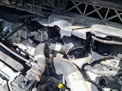 2021 Kia Carnival KNANB81BBMS069039 VIN:KNANB81BBMS069039