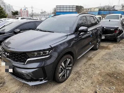 2022 Kia Sorento KNARH81GBNA101047 VIN:KNARH81GBNA101047
