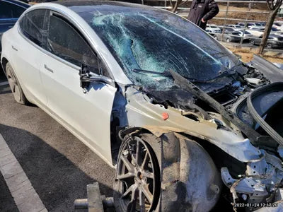 2020 Tesla Model 3 5YJ3E1EB1LF809771 VIN:5YJ3E1EB1LF809771