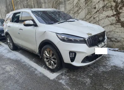 2019 Kia Sorento KNAPG81BBKA487503 VIN:KNAPG81BBKA487503