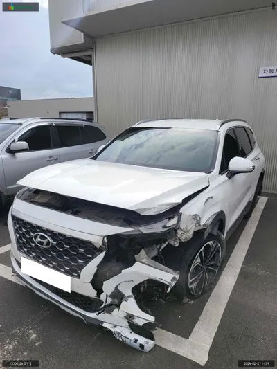 2019 Hyundai Santa FE KMHS381ABKU141821 VIN:KMHS381ABKU141821