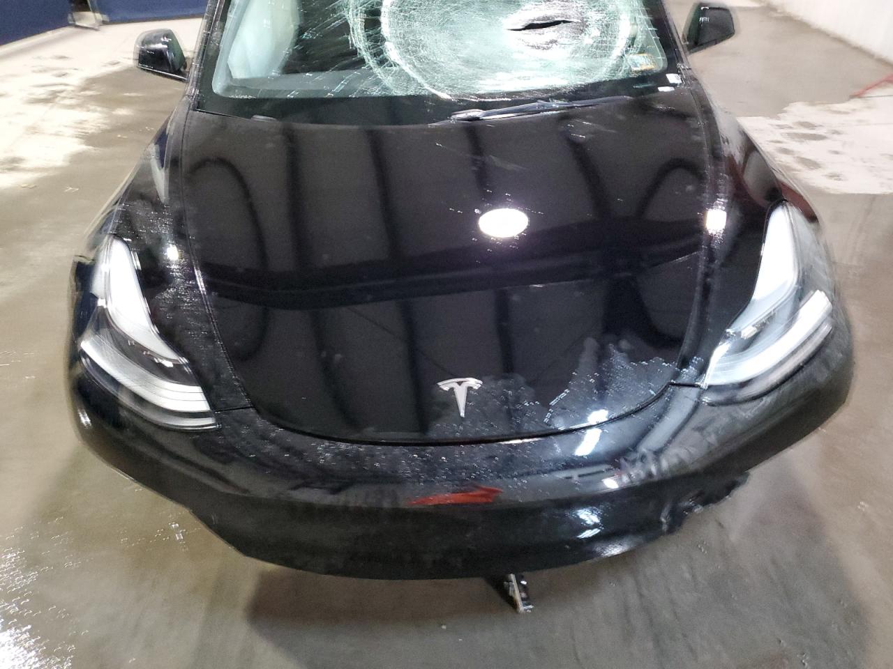 2023 TESLA MODEL 3  VIN:1G1AF5F53A7176450