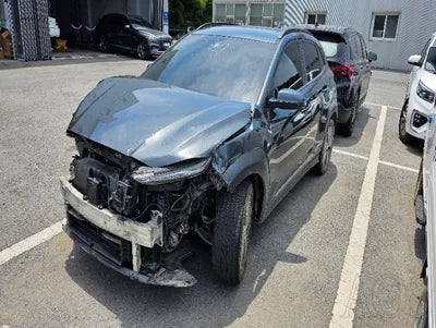 2019 Hyundai Kona KMHK281GFKU033139 VIN:KMHK281GFKU033139