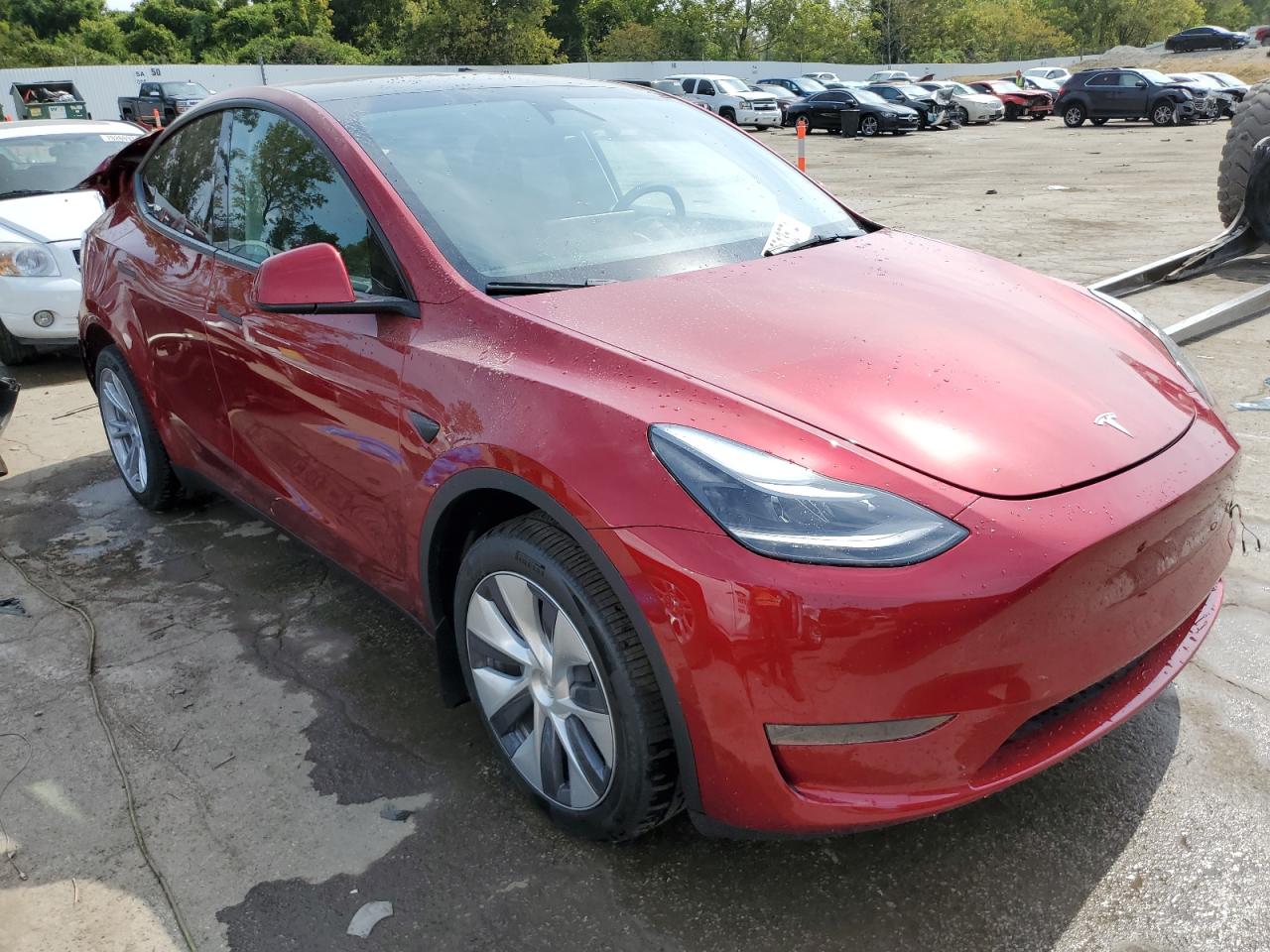 2024 TESLA MODEL Y  VIN:7SAYGDEE8RA254872