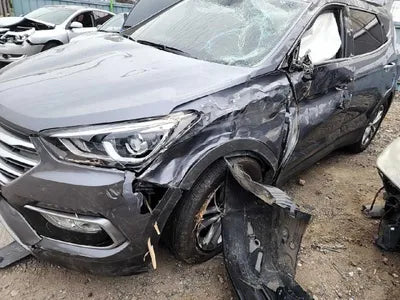 2016 Hyundai Santa FE KMHSW81UBGU674459 VIN:KMHSW81UBGU674459