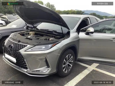 2020 Lexus RX 450 JTJBGMCA1L2061766 VIN:JTJBGMCA1L2061766